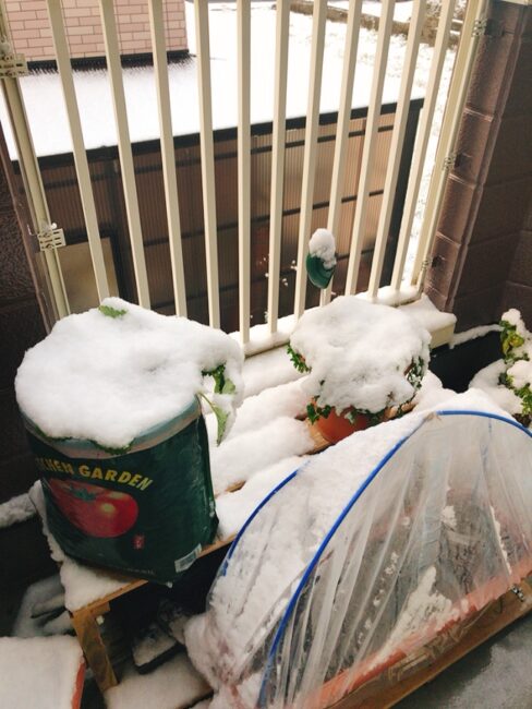 雪の重みに耐えるトンネル設備