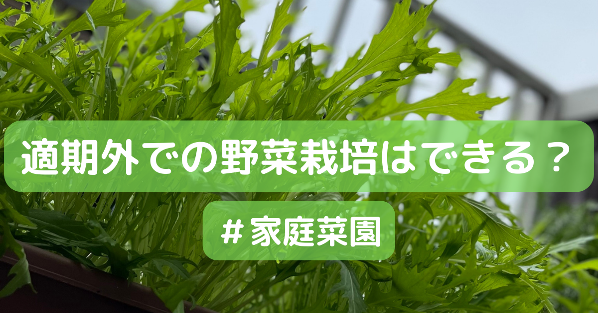 適期外での野菜栽培はできる？