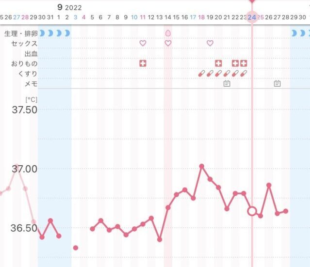 基礎体温グラフ